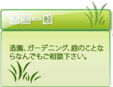 外構工事に伴う植栽や植木のお手入れ、ガーデニング、庭つくり等庭に関することお気軽にご相談下さい。